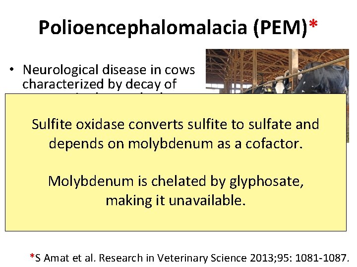 Polioencephalomalacia (PEM)* • Neurological disease in cows characterized by decay of neurons in the