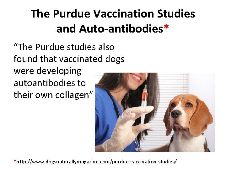 The Purdue Vaccination Studies and Auto-antibodies* “The Purdue studies also found that vaccinated dogs