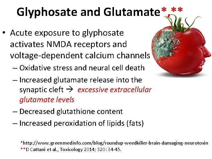 Glyphosate and Glutamate*, ** • Acute exposure to glyphosate activates NMDA receptors and voltage-dependent