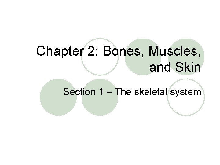 Chapter 2: Bones, Muscles, and Skin Section 1 – The skeletal system 