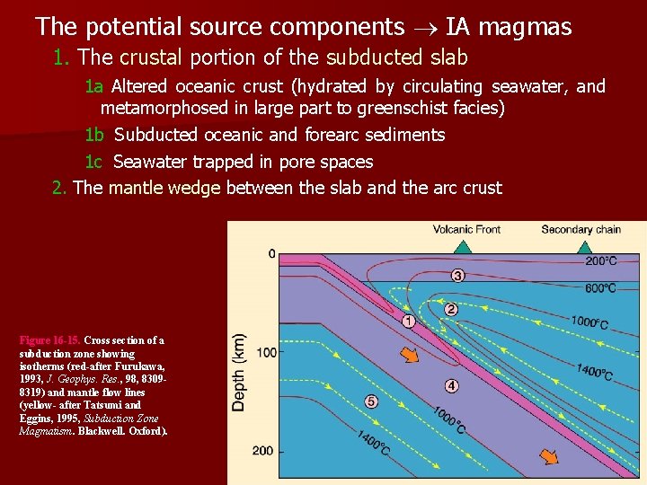 The potential source components IA magmas 1. The crustal portion of the subducted slab