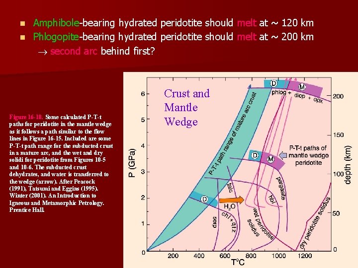 Amphibole-bearing hydrated peridotite should melt at ~ 120 km n Phlogopite-bearing hydrated peridotite should