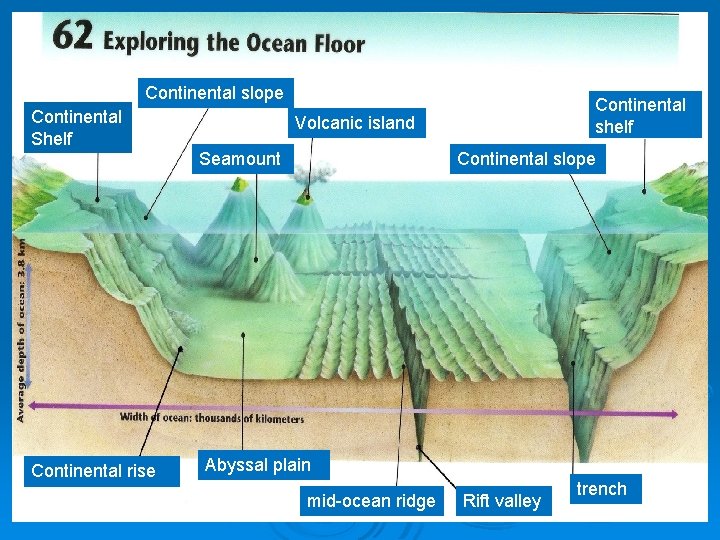 Continental slope Continental Shelf Volcanic island Seamount Continental rise Continental shelf Continental slope Abyssal