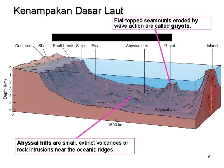 Kenampakan Dasar Laut Flat-topped seamounts eroded by wave action are called guyots. Abyssal hills