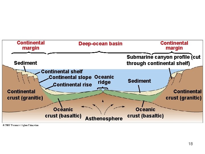 Continental margin Deep-ocean basin Submarine canyon profile (cut through continental shelf) Sediment Continental shelf