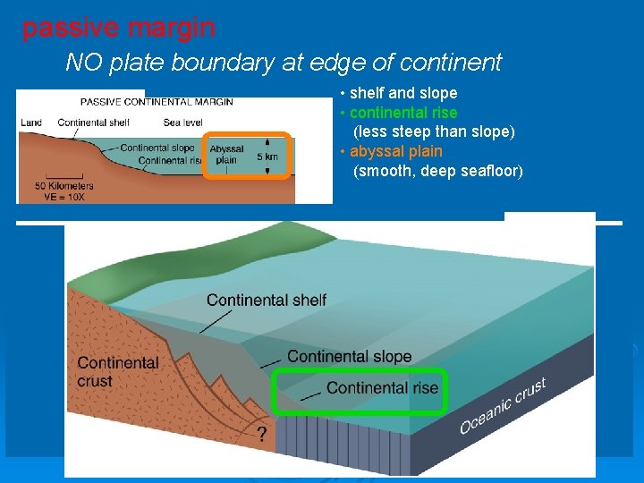 passive margin NO plate boundary at edge of continent • shelf and slope •