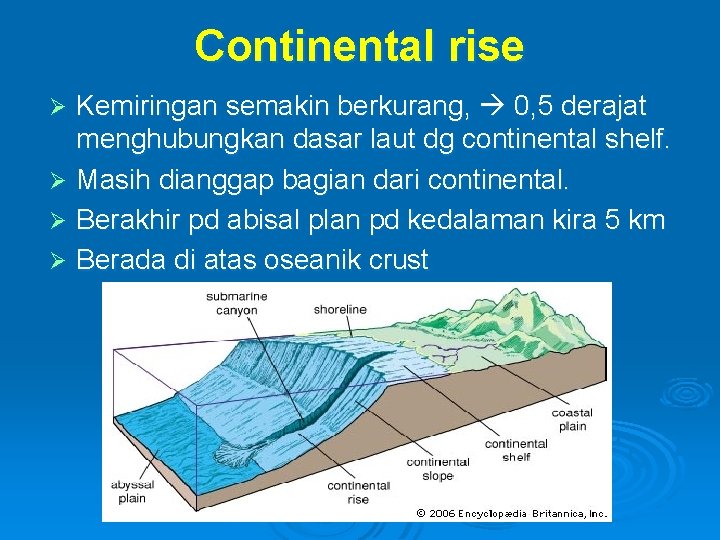 Continental rise Kemiringan semakin berkurang, 0, 5 derajat menghubungkan dasar laut dg continental shelf.