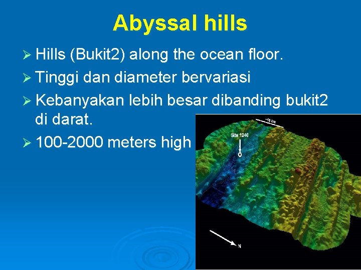 Abyssal hills Ø Hills (Bukit 2) along the ocean floor. Ø Tinggi dan diameter