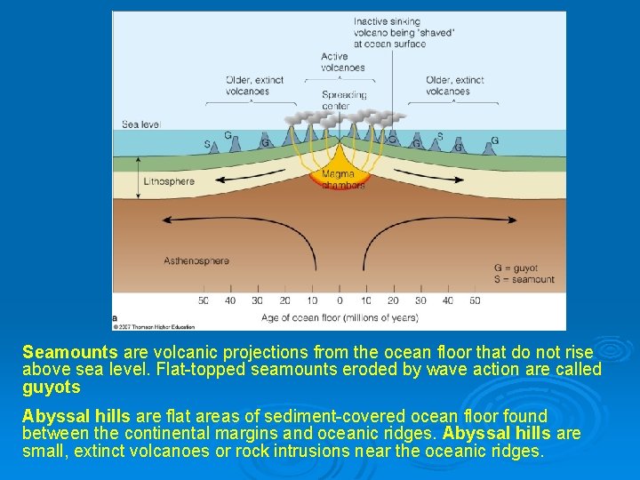 Seamounts are volcanic projections from the ocean floor that do not rise above sea