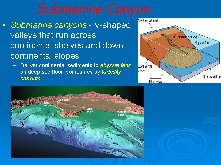 Submarine Canyon • Submarine canyons - V-shaped valleys that run across continental shelves and