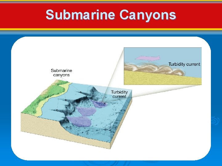 Submarine Canyons Submarine Canyons