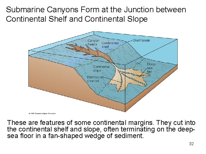 Submarine Canyons Form at the Junction between Continental Shelf and Continental Slope These are