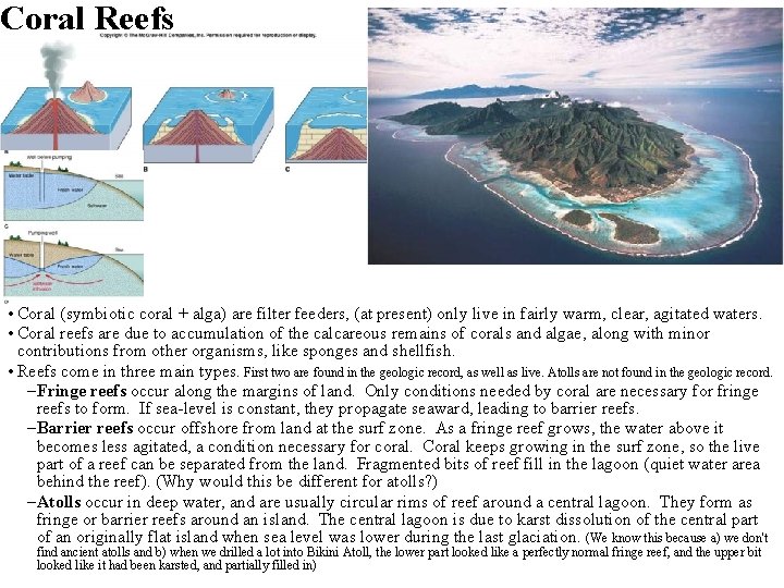 Coral Reefs • Coral (symbiotic coral + alga) are filter feeders, (at present) only