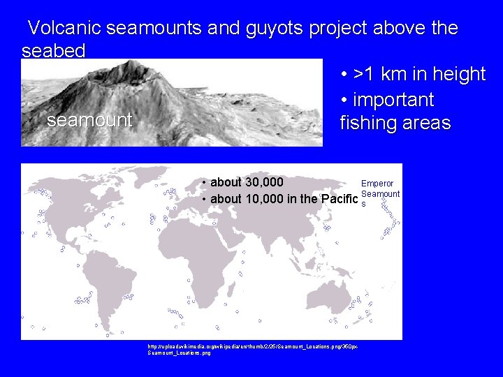  Volcanic seamounts and guyots project above the seabed • >1 km in height