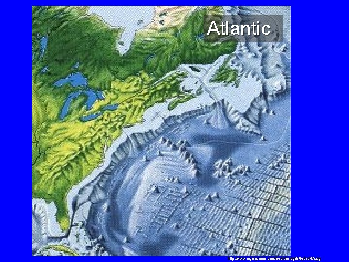 Atlantic http: //www. cryingvoice. com/Evolution/gifs/hydro. NA. jpg 