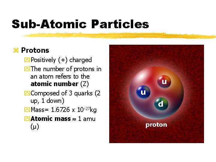 Sub-Atomic Particles z Protons y. Positively (+) charged y. The number of protons in