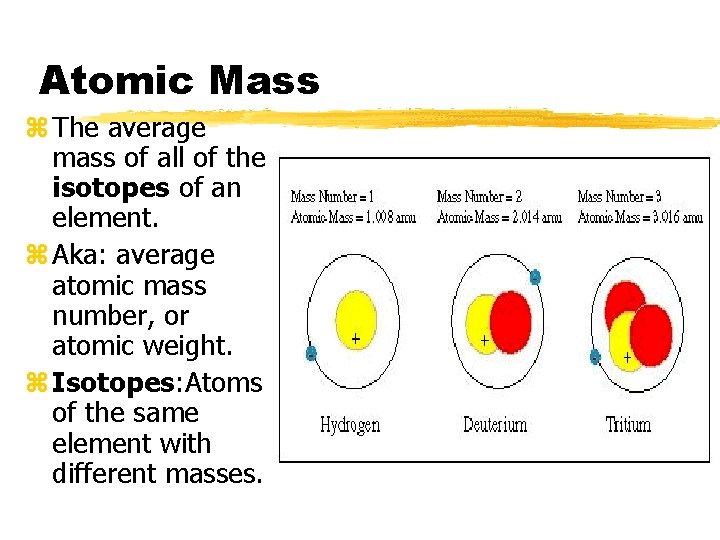 Atomic Mass z The average mass of all of the isotopes of an element.