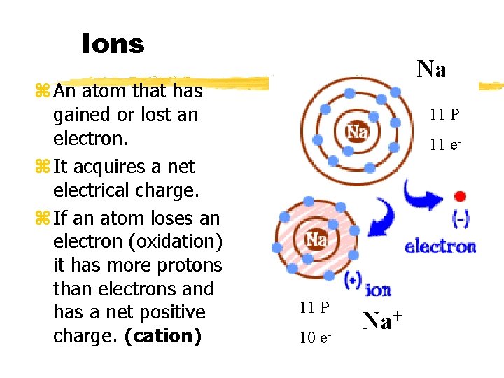 Ions z An atom that has gained or lost an electron. z It acquires