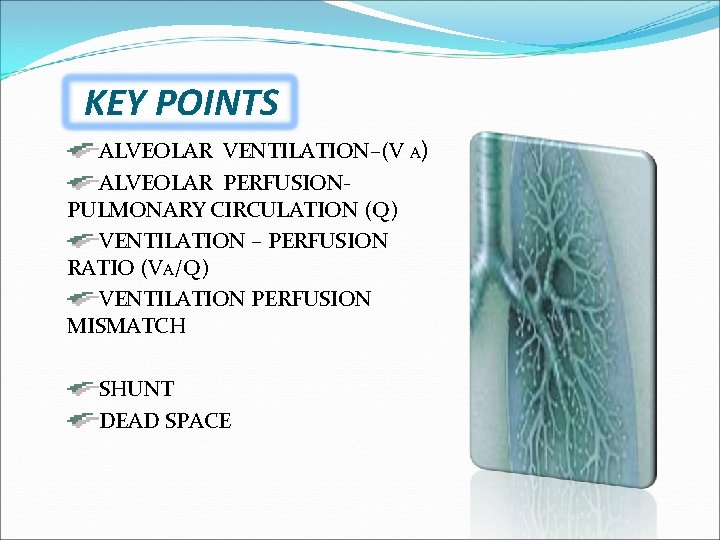 KEY POINTS ALVEOLAR VENTILATION–(V A) ALVEOLAR PERFUSIONPULMONARY CIRCULATION (Q) VENTILATION – PERFUSION RATIO (VA/Q)