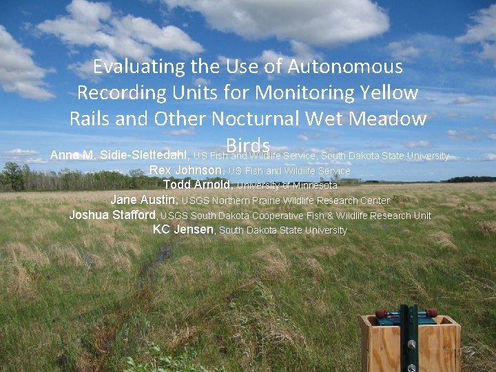 Evaluating the Use of Autonomous Recording Units for Monitoring Yellow Rails and Other Nocturnal