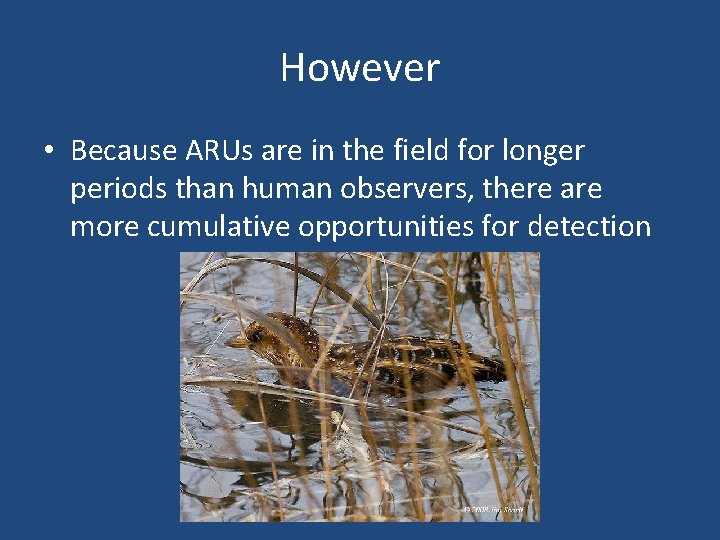 However • Because ARUs are in the field for longer periods than human observers,