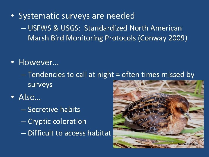  • Systematic surveys are needed – USFWS & USGS: Standardized North American Marsh