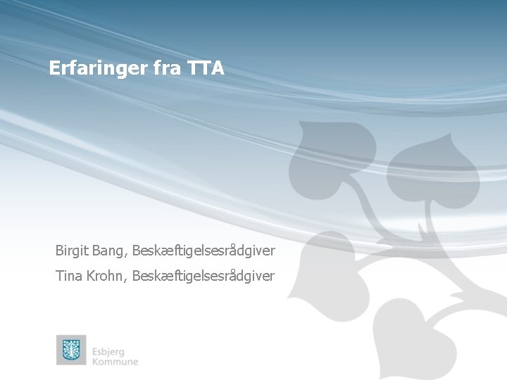 Erfaringer fra TTA Birgit Bang, Beskæftigelsesrådgiver Tina Krohn, Beskæftigelsesrådgiver 