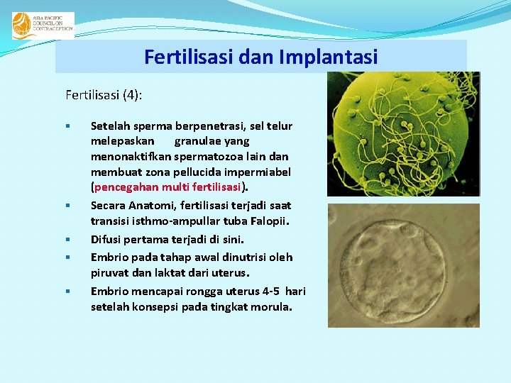 Fertilisasi dan Implantasi Fertilisasi (4): § § § Setelah sperma berpenetrasi, sel telur melepaskan Fertilisasi dan Implantasi Fertilisasi (4): § § § Setelah sperma berpenetrasi, sel telur melepaskan