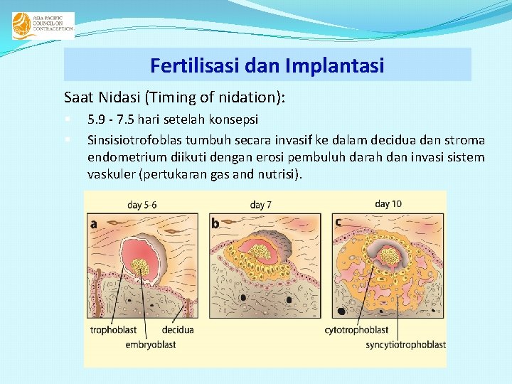 Fertilisasi dan Implantasi Saat Nidasi (Timing of nidation): § § 5. 9 - 7. Fertilisasi dan Implantasi Saat Nidasi (Timing of nidation): § § 5. 9 - 7.