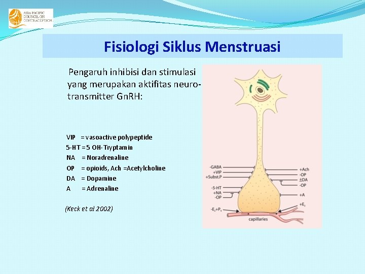 Fisiologi Siklus Menstruasi Pengaruh inhibisi dan stimulasi yang merupakan aktifitas neurotransmitter Gn. RH: VIP