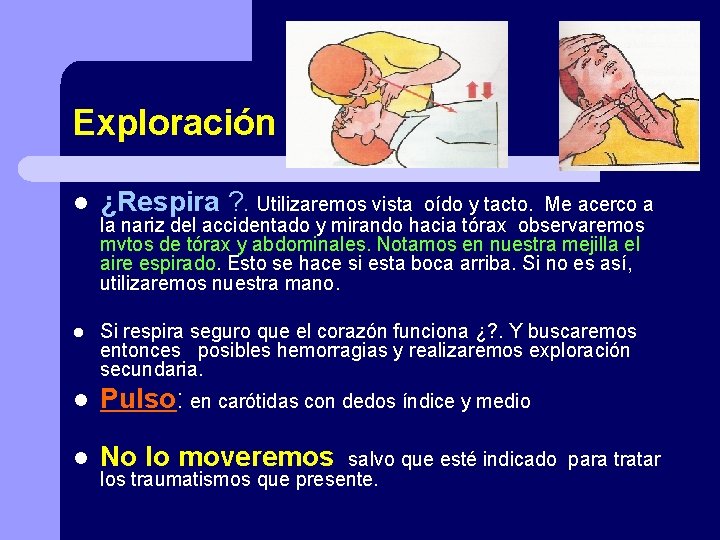 Exploración l ¿Respira ? . Utilizaremos vista l Si respira seguro que el corazón