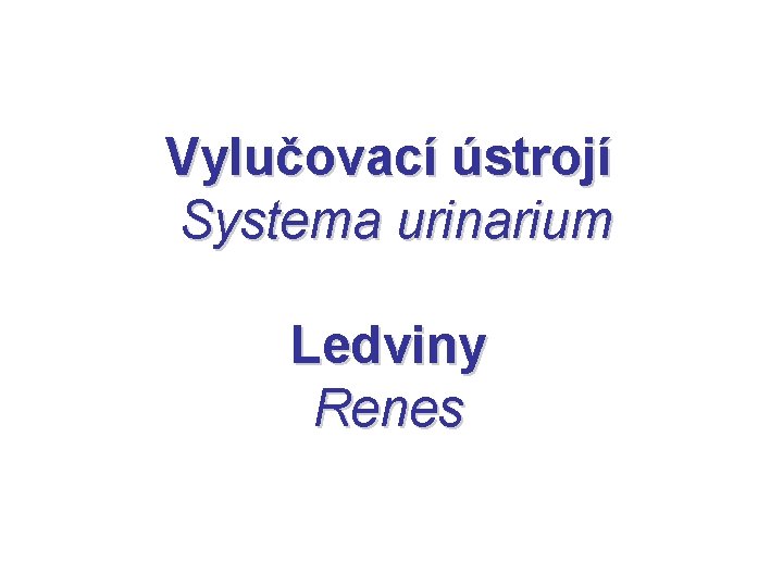 Vylučovací ústrojí Systema urinarium Ledviny Renes 