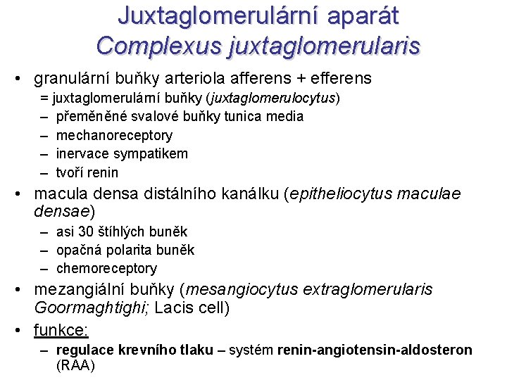 Juxtaglomerulární aparát Complexus juxtaglomerularis • granulární buňky arteriola afferens + efferens = juxtaglomerulární buňky