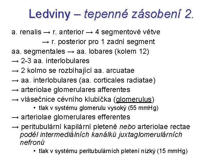 Ledviny – tepenné zásobení 2. a. renalis → r. anterior → 4 segmentové větve