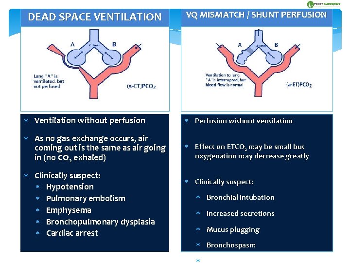 DEAD SPACE VENTILATION VQ MISMATCH / SHUNT PERFUSION Ventilation without perfusion Perfusion without ventilation