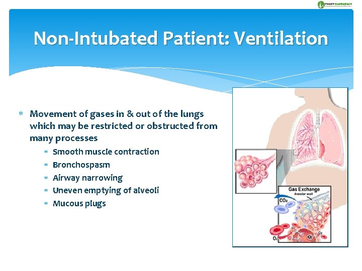 Non-Intubated Patient: Ventilation Movement of gases in & out of the lungs which may