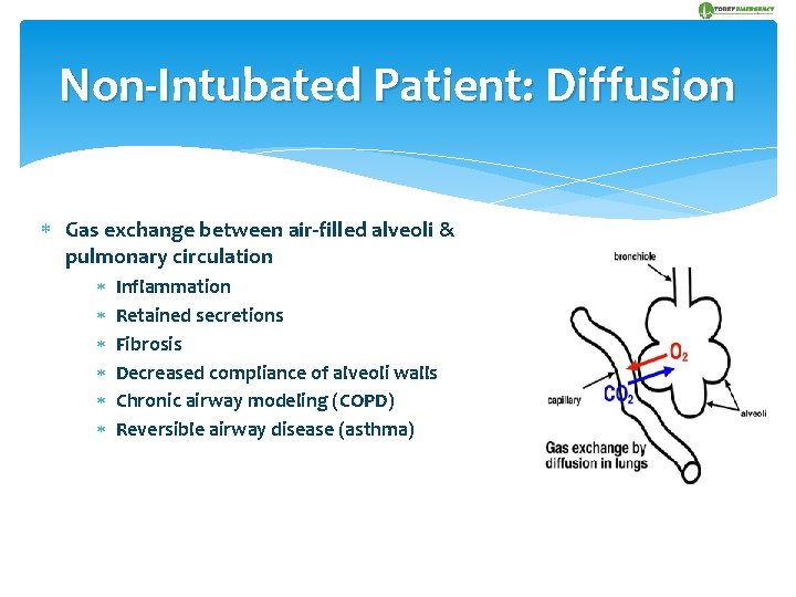 Non-Intubated Patient: Diffusion Gas exchange between air-filled alveoli & pulmonary circulation Inflammation Retained secretions