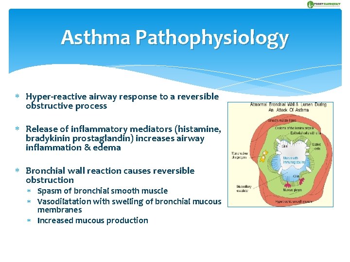 Asthma Pathophysiology Hyper-reactive airway response to a reversible obstructive process Release of inflammatory mediators