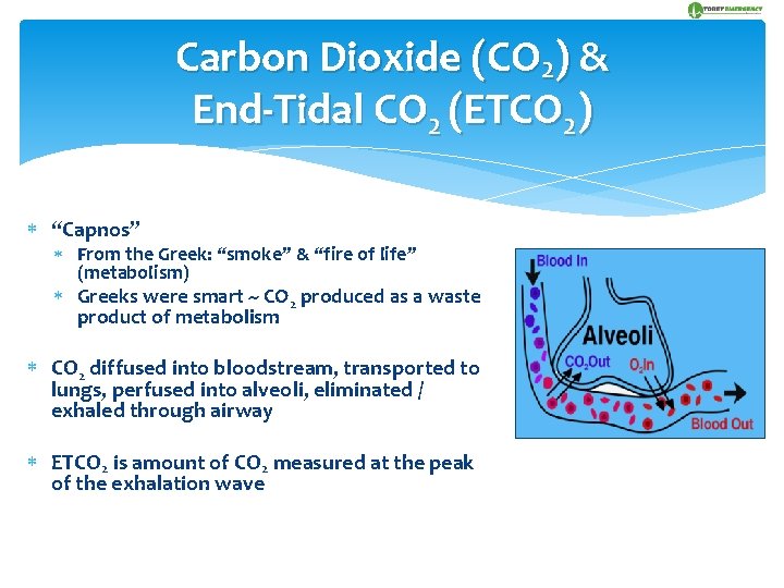 Carbon Dioxide (CO 2) & End-Tidal CO 2 (ETCO 2) “Capnos” From the Greek: