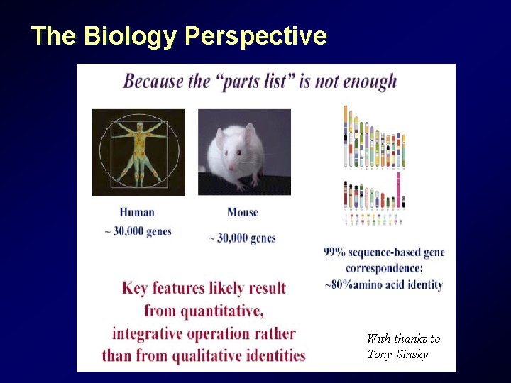 The Biology Perspective With thanks to Tony Sinsky The Biology Perspective With thanks to Tony Sinsky