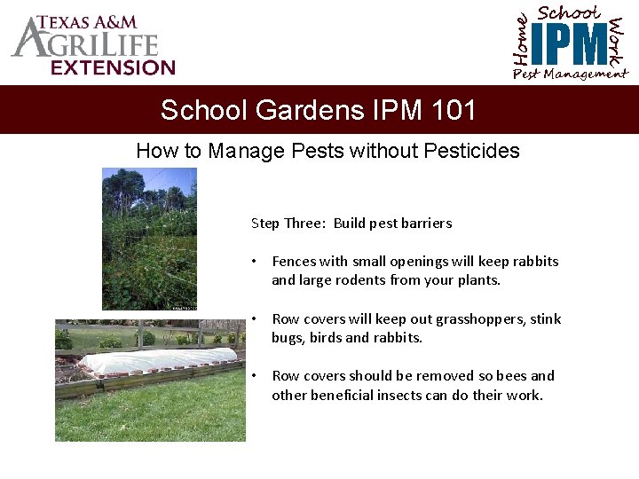 School Home Work IPM Pest Management School Gardens IPM 101 How to Manage Pests