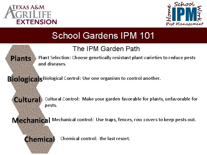 School Home Work IPM Pest Management School Gardens IPM 101 The IPM Garden Path