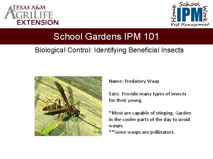 School Home Work IPM Pest Management School Gardens IPM 101 Biological Control: Identifying Beneficial