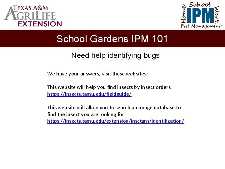 School Home Work IPM Pest Management School Gardens IPM 101 Need help identifying bugs