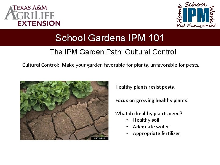 School Home Work IPM Pest Management School Gardens IPM 101 The IPM Garden Path: