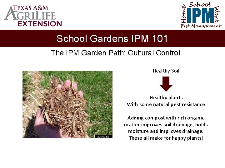 School Home Work IPM Pest Management School Gardens IPM 101 The IPM Garden Path: