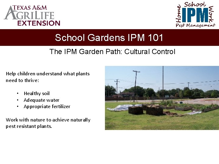 School Home Work IPM Pest Management School Gardens IPM 101 The IPM Garden Path: