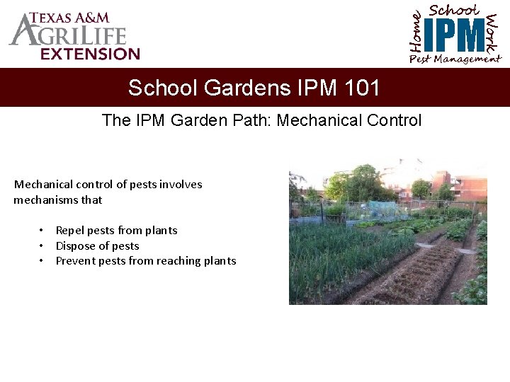 School Home Work IPM Pest Management School Gardens IPM 101 The IPM Garden Path:
