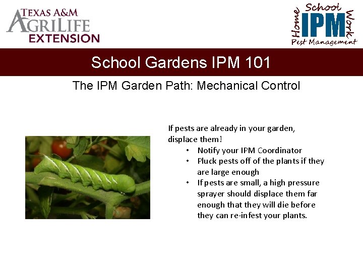 School Home Work IPM Pest Management School Gardens IPM 101 The IPM Garden Path: