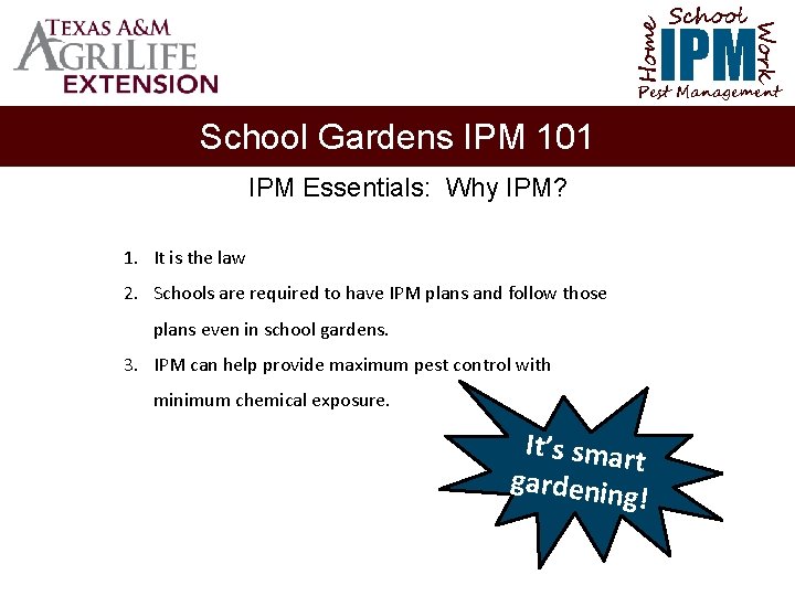 School Home Work IPM Pest Management School Gardens IPM 101 IPM Essentials: Why IPM?